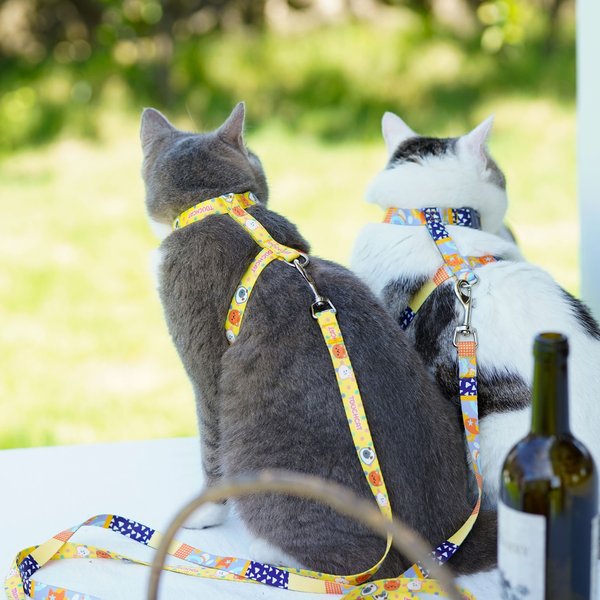 Show full view: Touchcat Animal Fashion Cat Harness & Leash, 47.24-in long, 0.59-in wide, Medium: 12.59 to 18.44-in chest slide 3 of 4