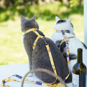 Touchcat Animal Fashion Cat Harness & Leash, 47.24-in long, 0.59-in wide, Medium: 12.59 to 18.44-in chest