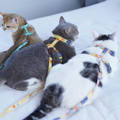 Show full view: Touchcat Animal Fashion Cat Harness & Leash, 47.24-in long, 0.59-in wide, Small: 8.66 to 12.59-in chest slide 4 of 5
