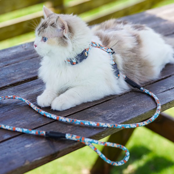 Touchcat Avery Fashion Cat Harness & Leash, 47.24-in long, 0.59-in wide