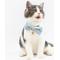 Show in main carousel: Touchcat Floral Polyester Cat Collar with Bow, Blue, Large: 7.87 to 11.81-in neck, 0.39-in wide slide 3 of 7