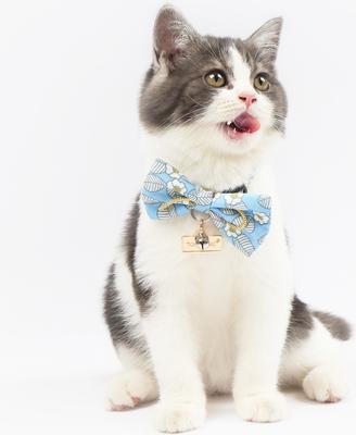 Show full view: Touchcat Floral Polyester Cat Collar with Bow, Blue, Large: 7.87 to 11.81-in neck, 0.39-in wide slide 3 of 7