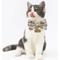 Show in main carousel: Touchcat Floral Polyester Cat Collar with Bow, Brown, Large: 7.87 to 11.81-in neck, 0.39-in wide slide 2 of 4