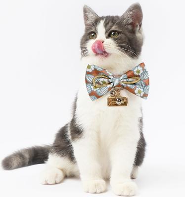 Show full view: Touchcat Floral Polyester Cat Collar with Bow, Brown, Large: 7.87 to 11.81-in neck, 0.39-in wide slide 2 of 4