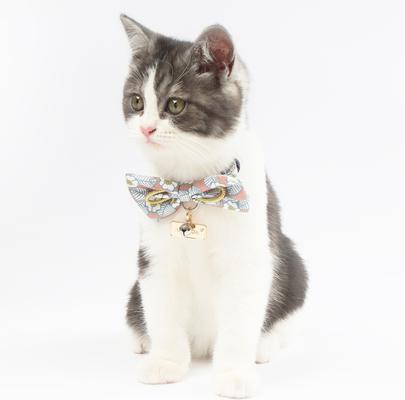 Show full view: Touchcat Floral Polyester Cat Collar with Bow, Pink, Small: 5.9 to 9-in neck, 0.39-in wide slide 3 of 7