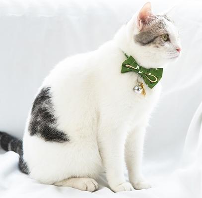 Show full view: Touchcat Glampurr Elegant Cotton Cat Collar with Bowtie & Bell, Green slide 3 of 3
