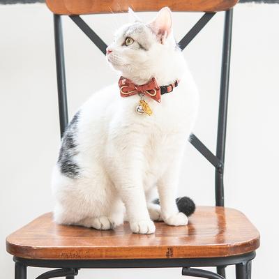 Show full view: Touchcat Glampurr Elegant Cotton Cat Collar with Bowtie & Bell, Pink slide 4 of 4