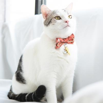 Show full view: Touchcat Glampurr Elegant Cotton Cat Collar with Bowtie & Bell, Pink slide 2 of 4