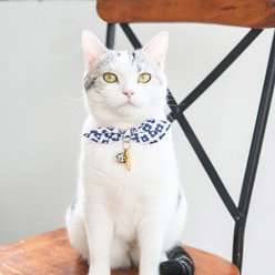 Touchcat Miss-Daisy Cotton Cat Collar with Bowtie & Bell, Navy slide 2 of 3
