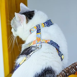Touchcat Multi-Shape Harness & Leash, 47.24-in long, 0.59-in wide, Medium: 12.59 to 18.44-in chest