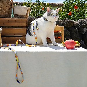 Touchcat Multi-Shape Harness & Leash, 47.24-in long, 0.59-in wide, Medium: 12.59 to 18.44-in chest