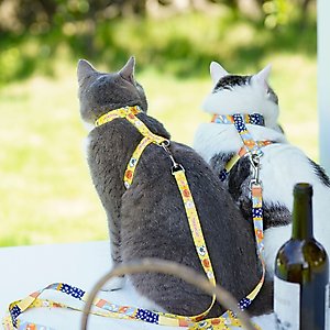 Touchcat Multi-Shape Harness & Leash, 47.24-in long, 0.59-in wide, Small: 8.66 to 12.59-in chest
