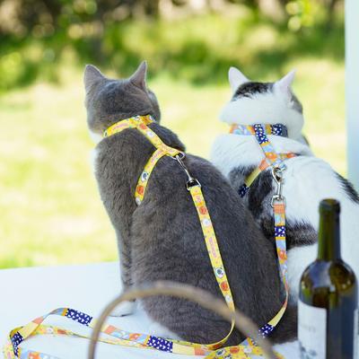 Show full view: Touchcat Multi-Shape Harness & Leash, 47.24-in long, 0.59-in wide, Small: 8.66 to 12.59-in chest slide 4 of 5