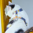 Show in main carousel: Touchcat Multi-Shape Harness & Leash, 47.24-in long, 0.59-in wide, Small: 8.66 to 12.59-in chest slide 3 of 5