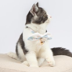 Touchcat Pineapple Polyester Cat Collar with Bow, Blue, Small: 5.9 to 9-in neck, 0.39-in wide slide 2 of 3