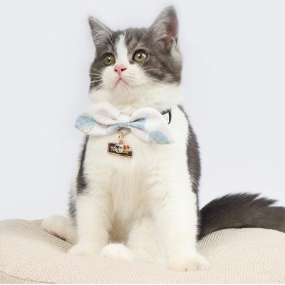 Show full view: Touchcat Pineapple Polyester Cat Collar with Bow, Blue, Small: 5.9 to 9-in neck, 0.39-in wide slide 2 of 3