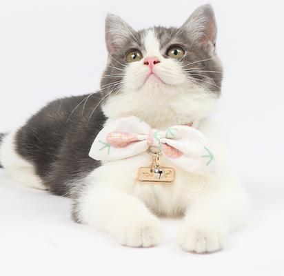 Show full view: Touchcat Pineapple Polyester Cat Collar with Bow, Pink, Small: 5.9 to 9-in neck, 0.39-in wide slide 3 of 4