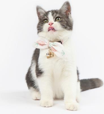 Show full view: Touchcat Pineapple Polyester Cat Collar with Bow, Pink, Small: 5.9 to 9-in neck, 0.39-in wide slide 2 of 4