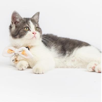 Show full view: Touchcat Pineapple Polyester Cat Collar with Bow, Yellow, Large: 7.87 to 11.81-in neck, 0.39-in wide slide 3 of 4