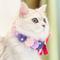 Show in main carousel: Touchcat Pom-Pom Felt Cat Collar with Bell, Pink/Purple, Small slide 4 of 6