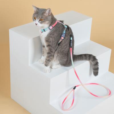 Show full view: Touchcat Rainbow Cat Harness & Leash, 47.24-in long, 0.59-in wide, Small: 8.66 to 12.59-in chest slide 3 of 4