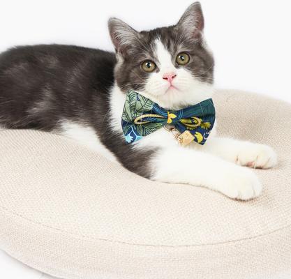 Show full view: Touchcat Safari Polyester Cat Collar with Bow, Large: 7.87 to 11.81-in neck, 0.39-in wide slide 3 of 3