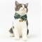 Show in main carousel: Touchcat Safari Polyester Cat Collar with Bow, Large: 7.87 to 11.81-in neck, 0.39-in wide slide 2 of 3