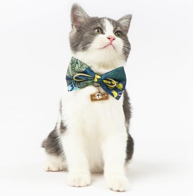Show full view: Touchcat Safari Polyester Cat Collar with Bow, Large: 7.87 to 11.81-in neck, 0.39-in wide slide 2 of 3