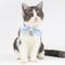 Show in main carousel: Touchcat Shepherd Polyester Cat Collar with Bow, Blue, Large: 7.87 to 11.81-in neck, 0.39-in wide slide 2 of 2