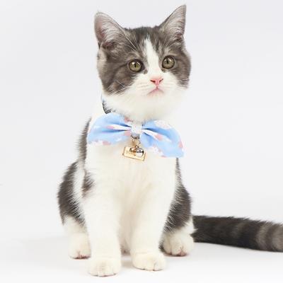 Show full view: Touchcat Shepherd Polyester Cat Collar with Bow, Blue, Small: 5.9 to 9-in neck, 0.39-in wide slide 2 of 2