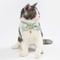 Show in main carousel: Touchcat Shepherd Polyester Cat Collar with Bow, Green, Small: 5.9 to 9-in neck, 0.39-in wide slide 3 of 4
