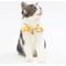 Show in main carousel: Touchcat Shepherd Polyester Cat Collar with Bow, Yellow, Large: 7.87 to 11.81-in neck, 0.39-in wide slide 3 of 5