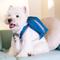 Show in main carousel: Touchdog Navy Backpack Dog Harness, Large: 23.62 to 39.37-in chest slide 5 of 6
