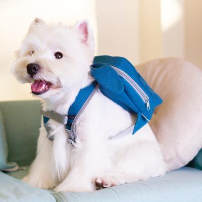 Show full view: Touchdog Navy Backpack Dog Harness, Large: 23.62 to 39.37-in chest slide 5 of 6