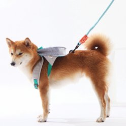 Touchdog Owl Designer Backpack Dog Harness, Large: 23.62 to 39.37-in chest slide 2 of 4
