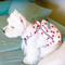 Show in main carousel: Touchdog Polka Dot Backpack Dog Harness, Large: 23.62 to 39.37-in chest slide 5 of 7