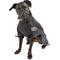 Show in main carousel: Touchdog Quantum-Ice Full-Bodied Reflective Dog Jacket with Blackshark Technology, Grey, Medium slide 1 of 8