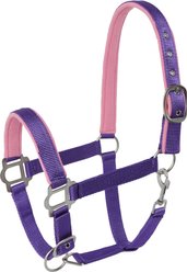 Tough1 Nylon Padded Halter with Satin Horse Hardware, Purple, Horse