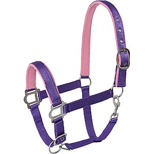 Tough1 Nylon Padded Halter with Satin Horse Hardware, Purple, Horse