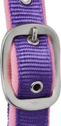 Tough1 Nylon Padded Halter with Satin Horse Hardware, Purple, Horse slide 2 of 4
