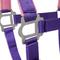 Show in main carousel: Tough1 Nylon Padded Halter with Satin Horse Hardware, Purple, Horse slide 4 of 4