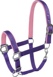 Tough1 Nylon Padded Halter with Satin Horse Hardware, Purple, Yearling