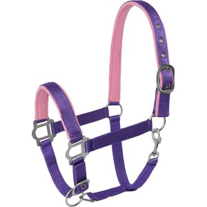 Tough1 Nylon Padded Halter with Satin Horse Hardware, Purple, Yearling