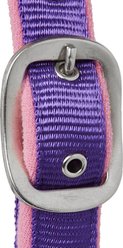 Tough1 Nylon Padded Halter with Satin Horse Hardware, Purple, Yearling slide 2 of 4