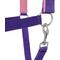 Show in main carousel: Tough1 Nylon Padded Halter with Satin Horse Hardware, Purple, Yearling slide 3 of 4
