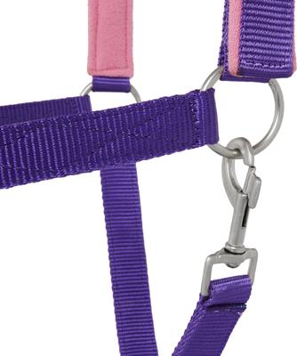 Show full view: Tough1 Nylon Padded Halter with Satin Horse Hardware, Purple, Yearling slide 3 of 4