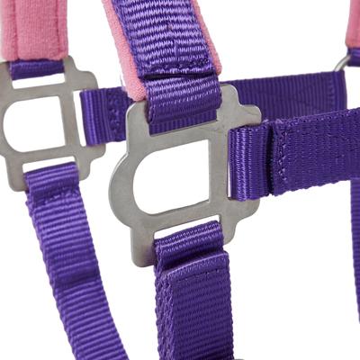 Show full view: Tough1 Nylon Padded Halter with Satin Horse Hardware, Purple, Yearling slide 4 of 4