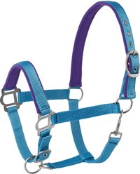 Tough1 Nylon Padded Halter with Satin Horse Hardware, Turquoise, Horse slide 1 of 4