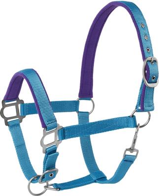 Show full view: Tough1 Nylon Padded Halter with Satin Horse Hardware, Turquoise, Horse slide 1 of 5