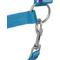 Show in main carousel: Tough1 Nylon Padded Halter with Satin Horse Hardware, Turquoise, Horse slide 3 of 5